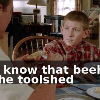 You know that beehive in the toolshed
