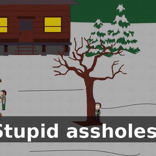 Stupid assholes!