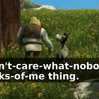 I-don't-care-what-nobody... thinks-of-me thing.