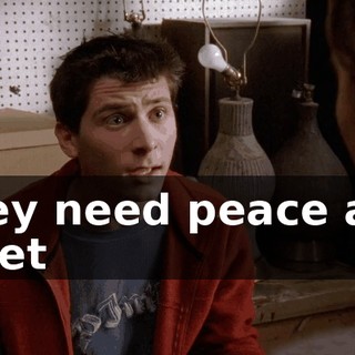 They need peace and quiet