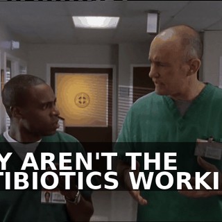 4bdc446c-0b18-4be1-a3ee-dcc122114e83.gif