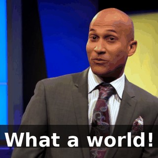 4be89b81-da7d-455c-9627-cca6ca5ef9d9.gif