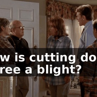 4bffb6f3-ccb6-459a-a77f-26536ffedf56.gif
