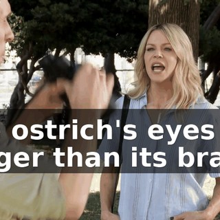 4c01a9a5-705d-4534-ab5f-10f0a27549b0.gif