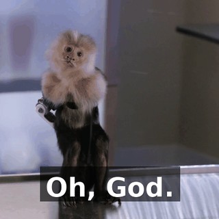 4c095ccd-777e-4c8a-ac3b-0d102ac7f31d.gif