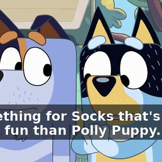 Something for Socks that's even more fun than Polly Puppy.