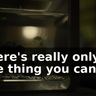 4c50f7dd-7cb4-490c-ad31-556b3156170a.gif