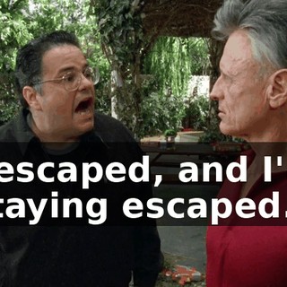 I escaped, and I'm staying escaped.