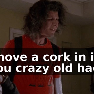 Shove a cork in it, you crazy old hag!