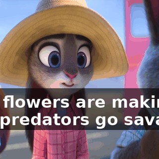 4d0b0669-1356-476f-93f5-e3c80c0d715c.gif
