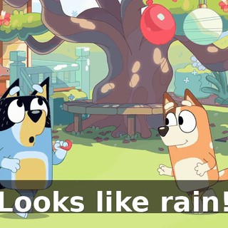 Looks like rain!