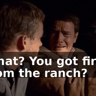 What? You got fired from the ranch?