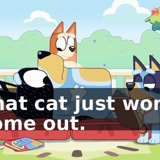 That cat just won't come out.
