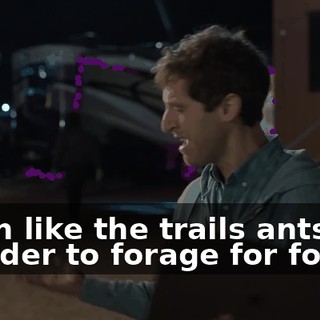 much like the trails ants use in order to forage for food.