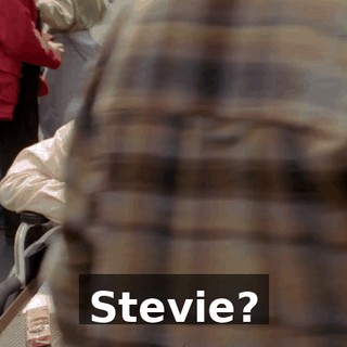 Stevie?