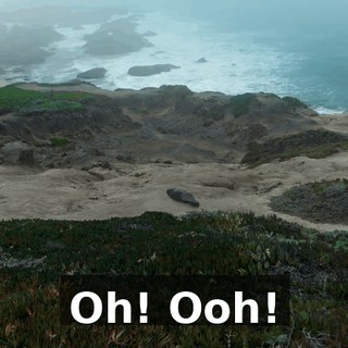 4f380cff-646b-481e-9c0f-d0745bf2d81c.gif