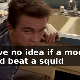 I have no idea if a monkey could beat a squid