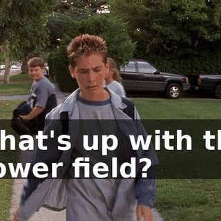 What's up with the flower field?