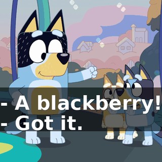 500ab79b-ac90-4675-8236-bb353e6dfe7d.gif