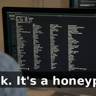 Fuck. It's a honeypot.