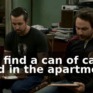 You find a can of cat food in the apartment.