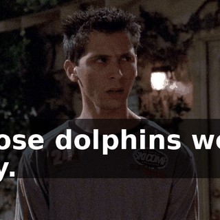Those dolphins were gay.