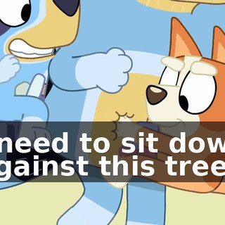 50574918-ecc4-4240-9a3a-4a264bdf549c.gif