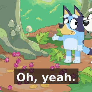 507c347e-c0d0-47ed-a967-ad4eb8d72637.gif
