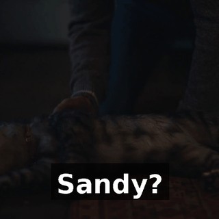 508fba21-1627-4dba-9831-7cda08b9adec.gif