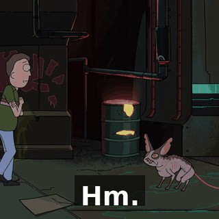 50954af0-13e1-4019-88a4-3dd7ae745c41.gif