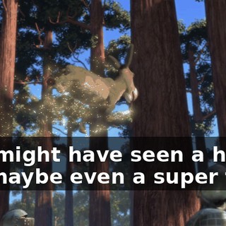 You might have seen a house fly, maybe even a super fly,