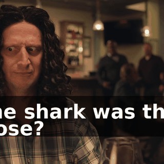 The shark was that close?