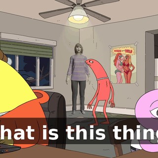 What is this thing?