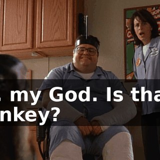 Oh, my God. Is that a monkey?