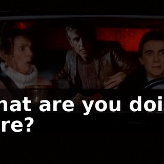 What are you doing here?