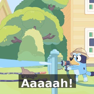 50f79749-5f4d-46a6-869c-68dd21b107dd.gif