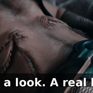 512ef4a2-36b2-465b-9b4f-e15775235088.gif