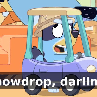 5142aad7-5071-407f-91aa-fef3ea99c4f7.gif