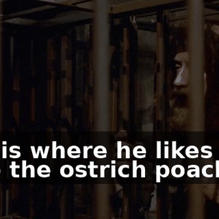 5176e90e-6e08-446a-b8f5-d1ad0648e9e0.gif