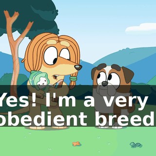 51798388-1ebc-425c-aed3-a93edeec0db4.gif