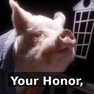 Your Honor,