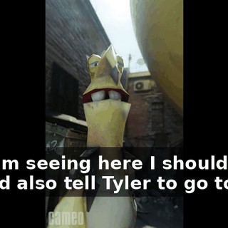 And I'm seeing here I should, I should also tell Tyler to go to hell.