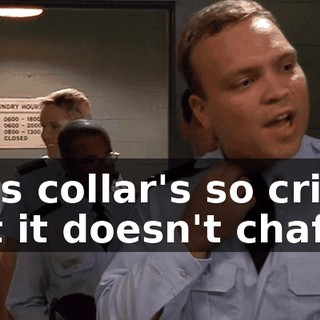 This collar's so crisp, yet it doesn't chafe.