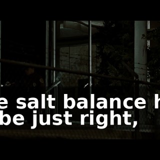 The salt balance has to be just right,