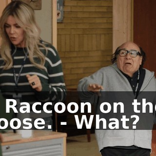 5278e843-33e8-4609-8645-e62abdbbe2e6.gif