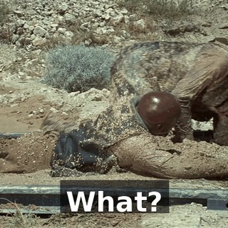 529e412e-7464-4e21-8262-3869d4e479de.gif