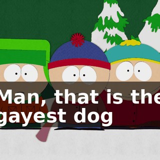 Man, that is the gayest dog