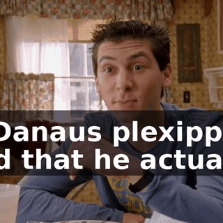 is Danaus plexippus, and that he actually