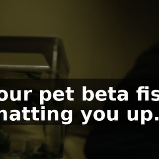 535c1aa5-c6eb-4b12-b20f-6183edd9411c.gif
