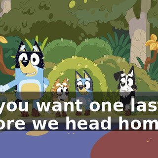 Do you want one last go before we head home?